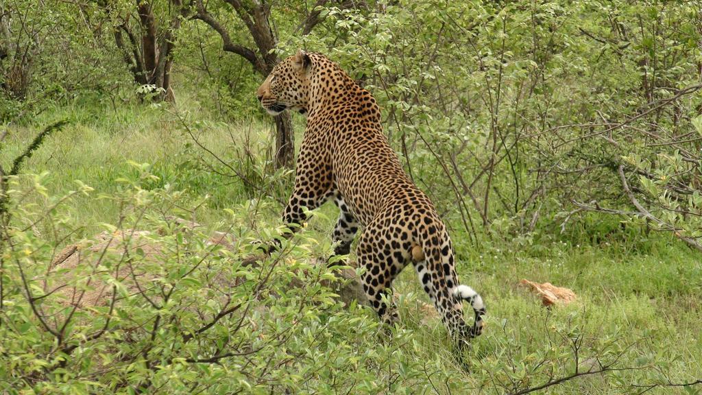 Naledi Lodges バルレ・ゲーム・リザーブ エクステリア 写真